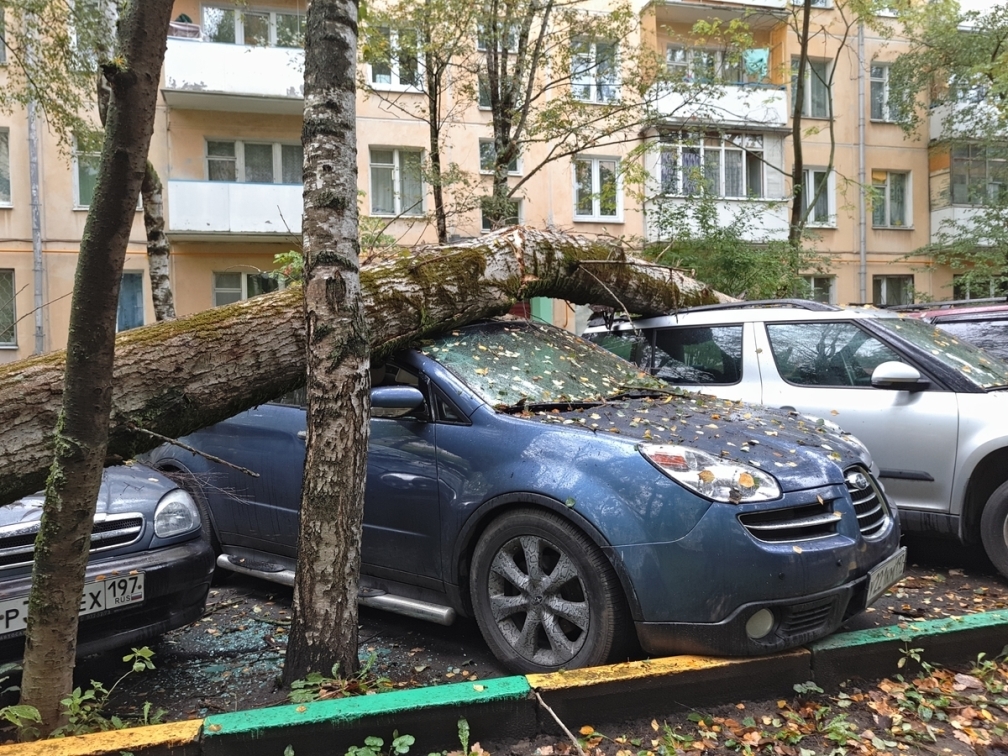 Как застраховать автомобиль от стихийных бедствий?